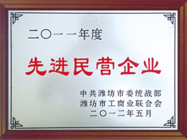先進民營企業